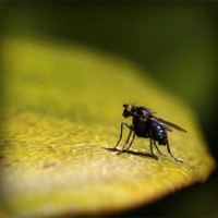 /album/pressurewashstlouis/photolia-a07-jpg/